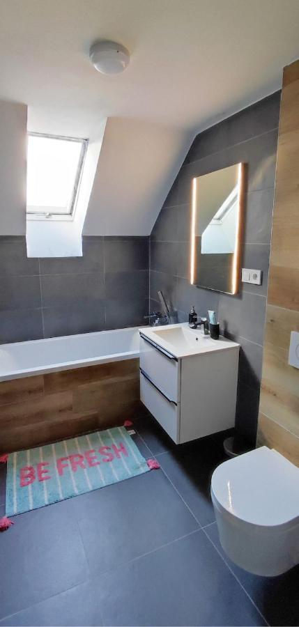 Apartmán Apartman Pod Jestedem Liberec Exteriér fotografie